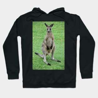 Australie - Newcastle, Kangourou Hoodie